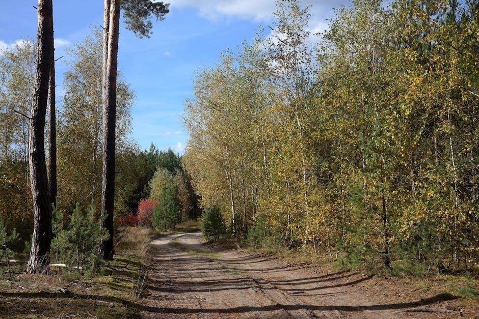 instructions for woods timer